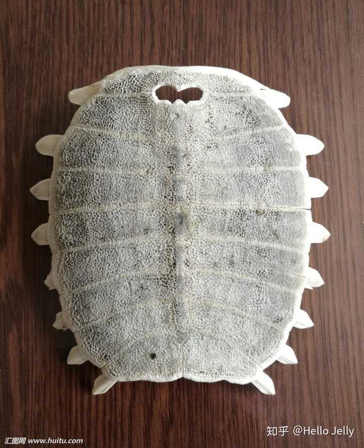 我妈妈以前会在米袋里放一个王八盖