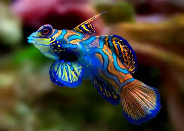 学习- 收藏夹 - 知乎