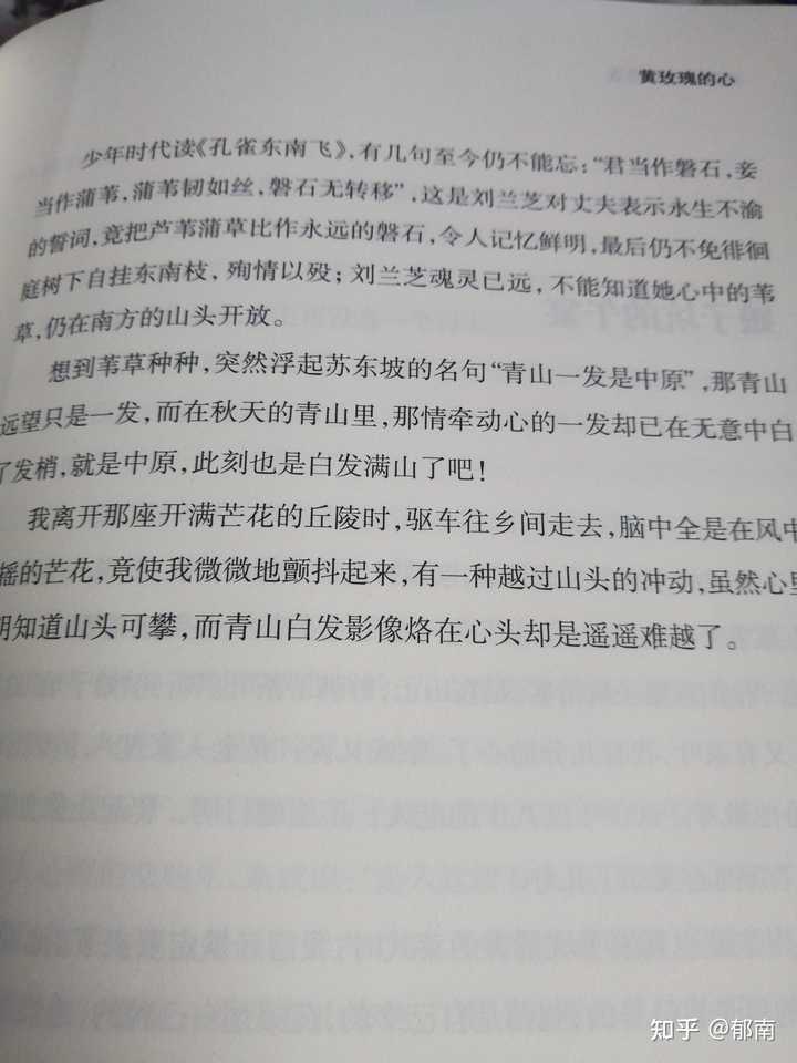 阴阳师里你们是怎么给自己的式神取名字的 郁南的回答 知乎