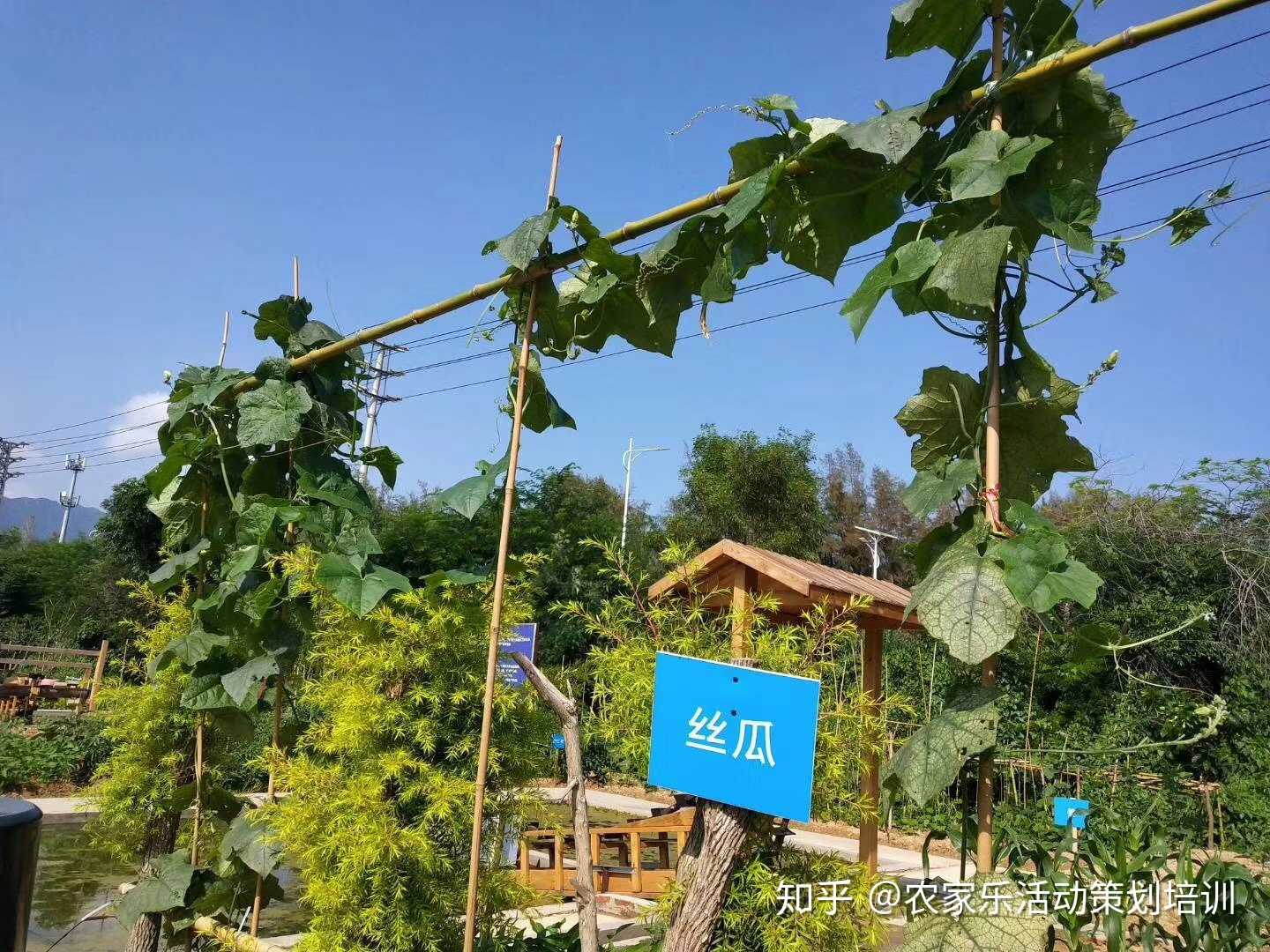 孩子们的乐园奇奇王国系列之农趣园