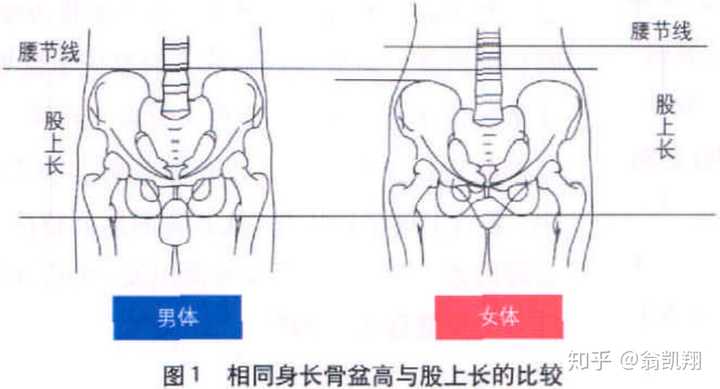 我身高165 可是身材比例55身 腰长腿短 特别是小腿短 虽然是天生的 但不死心有什么方法可以改进 知乎