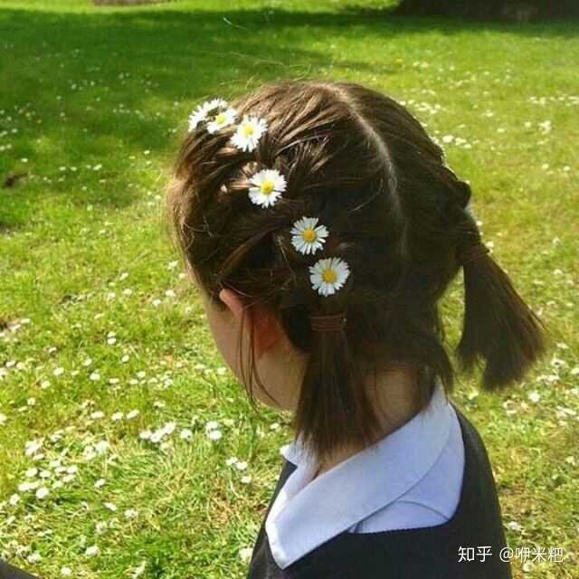 大佬们有哪些头像带雏菊?