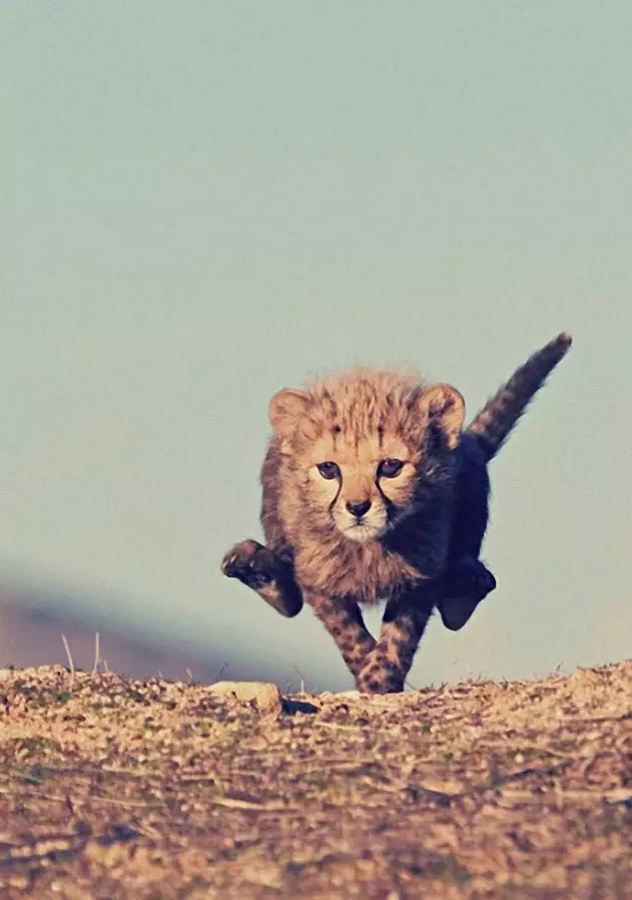 五,imark 我的标记:在一张图片上突出重点