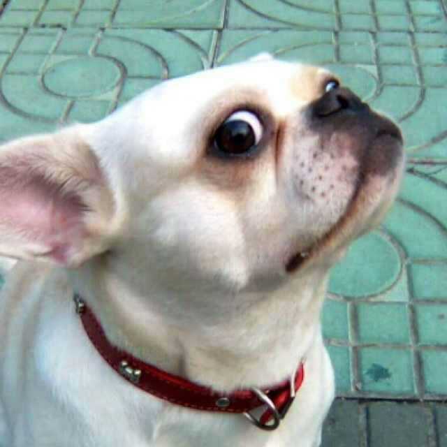 如果是不足,那可能是比在座的个为你年轻吧.傲娇脸