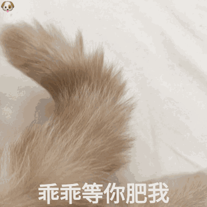 你有哪些让你一秒变开心的表情包?