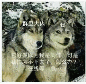有哪些堪称有毒的表情包 王朗的回答 知乎 有哪些堪称有毒的表情包 王朗的回答 知乎