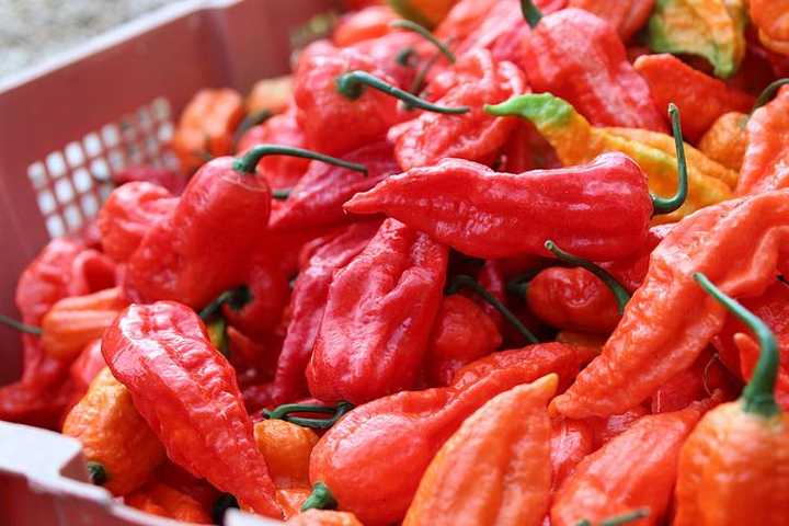 德宏涮涮辣 只需在汤中涮一涮 就辣爆