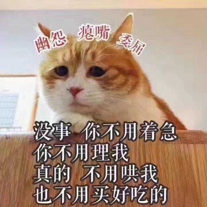 活该我单身!