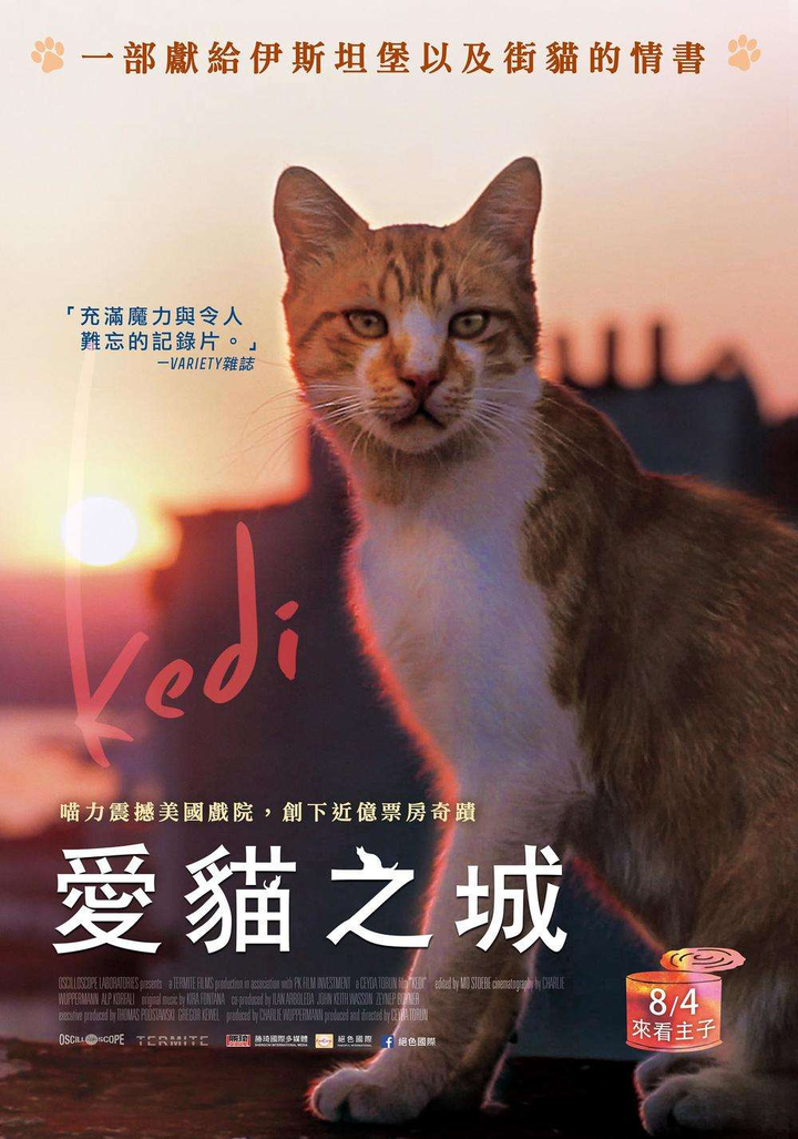 有哪些和动物有关的好电影 知乎