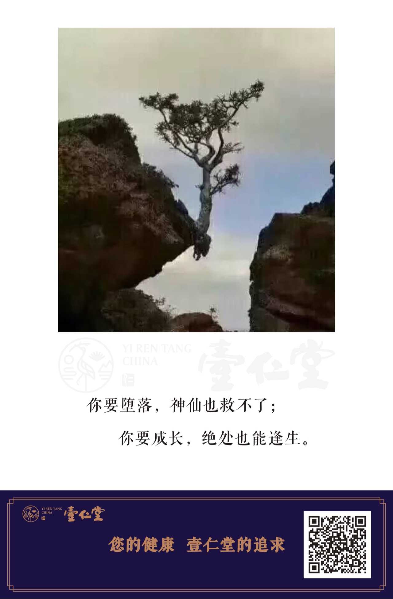 你要堕落,神仙也救不了 你要成长,绝处也能逢生.