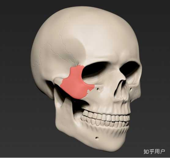 颧骨内推是怎样一种手术？ - 知乎