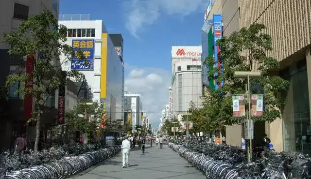 去日本北海道旅行买些什么做礼物 已重置 的回答 知乎