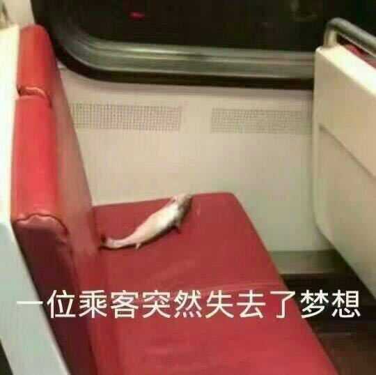 有没有让人笑到头掉的沙雕文案?
