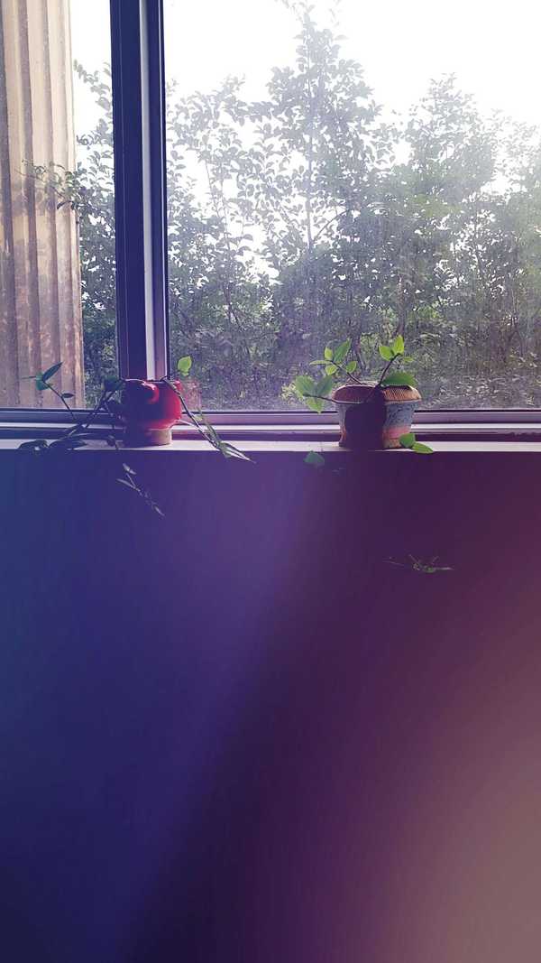 平淡生活 - 知乎