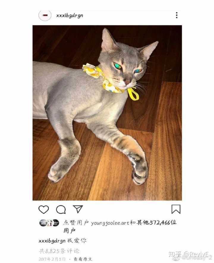 Gd和iu是真的吗 知乎 Gd和iu是真的吗 知乎