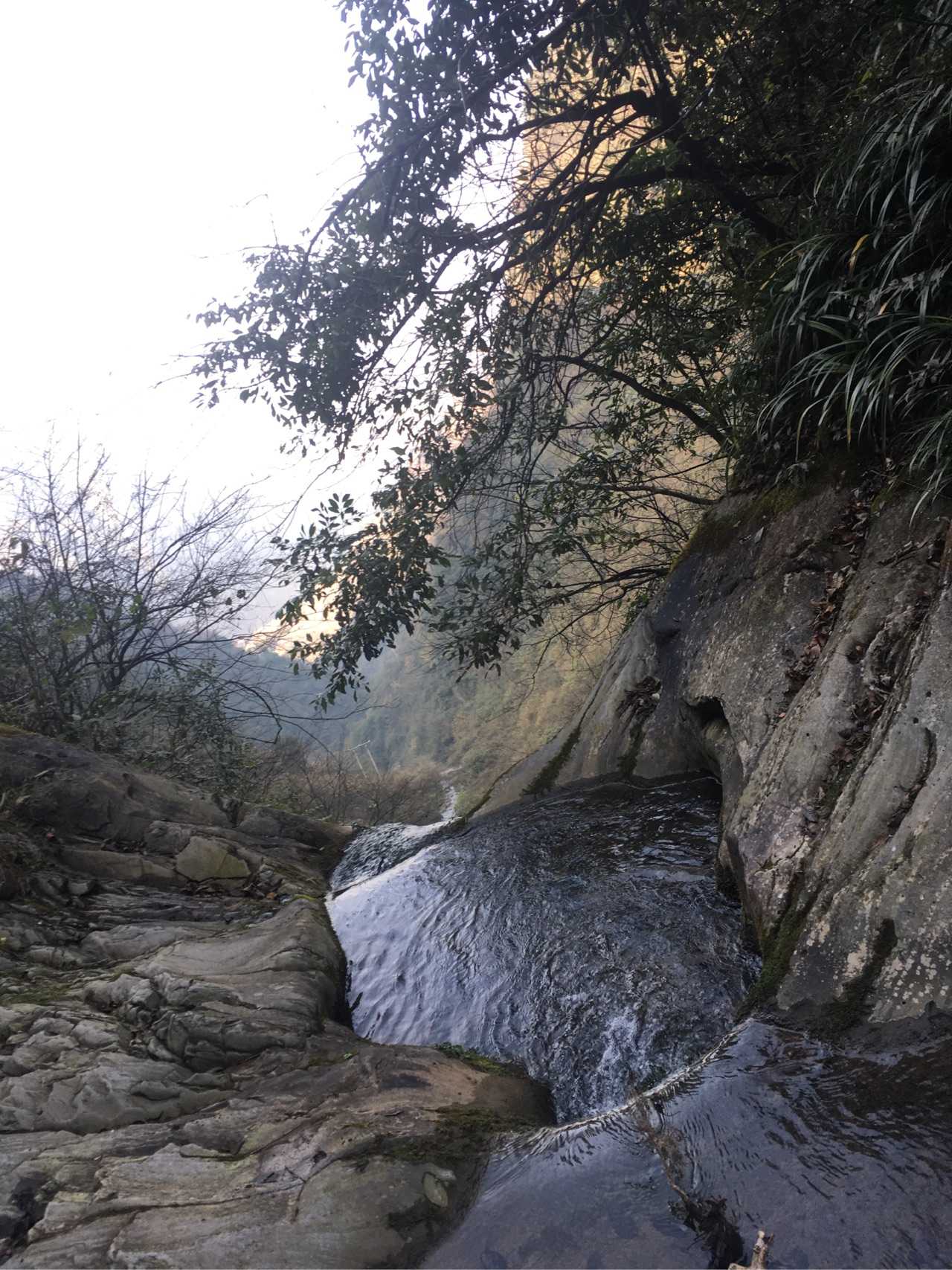那些盼着weed在中国能合法化的是脑子进水 还是呼成傻比了