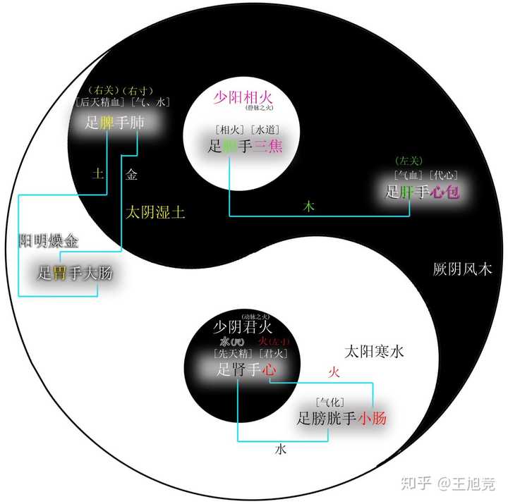 5,至于六经之气实质上是指基因,还是其他更隐藏的概念,可以研究,但