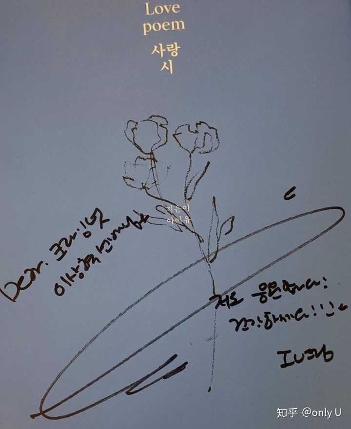 韩国流行音乐(k-pop)韩流韩国明星李知恩(iu) iu签名是什么样子的 ??