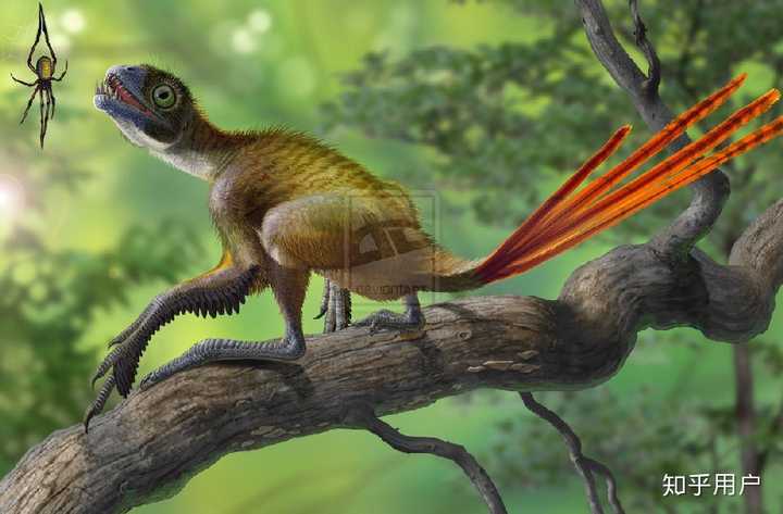 有哪些长相奇特已经灭绝的生物? - 知乎
