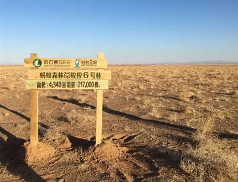 蚂蚁森林有什么用