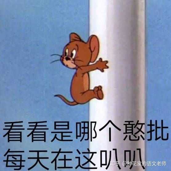 我刷微博不是为了看八卦,上知乎不是为了涨知识,而是,收集各种表情包!