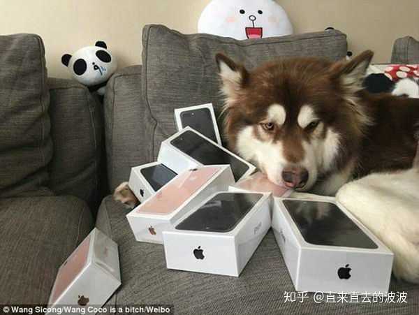 王思聪回应陪练