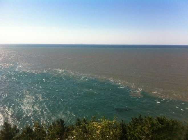 下圖是黃渤海分界線,很明顯可以看出黃海部分,海水