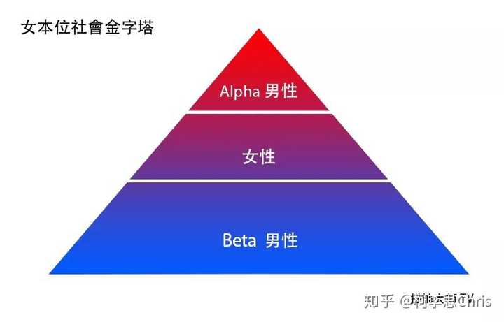 根據紅色藥丸理論: 金字塔底層的beta男是被社會漠視的群體.