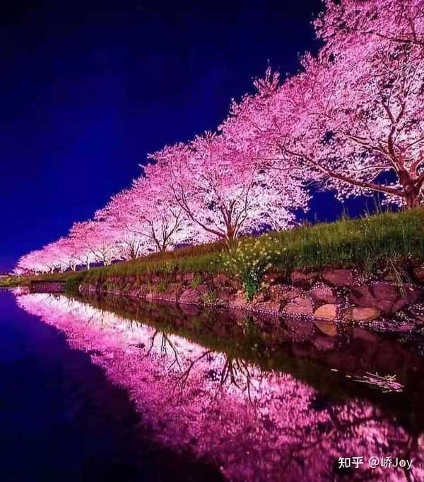 [太阳] 健康西芹汁d131. 抖肩31分… - 知乎