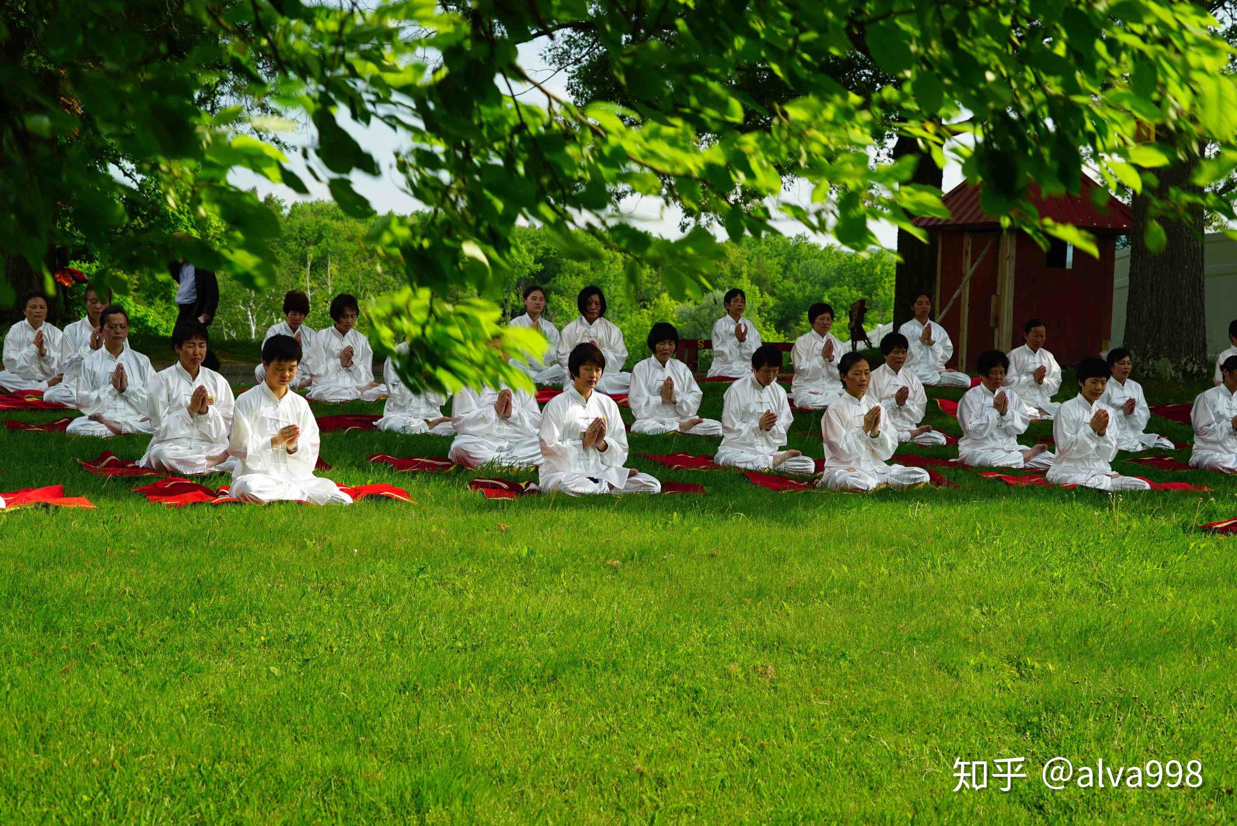 成果的作用就是快速有效的判断病灶在哪里,然后以光环禅修对症医治