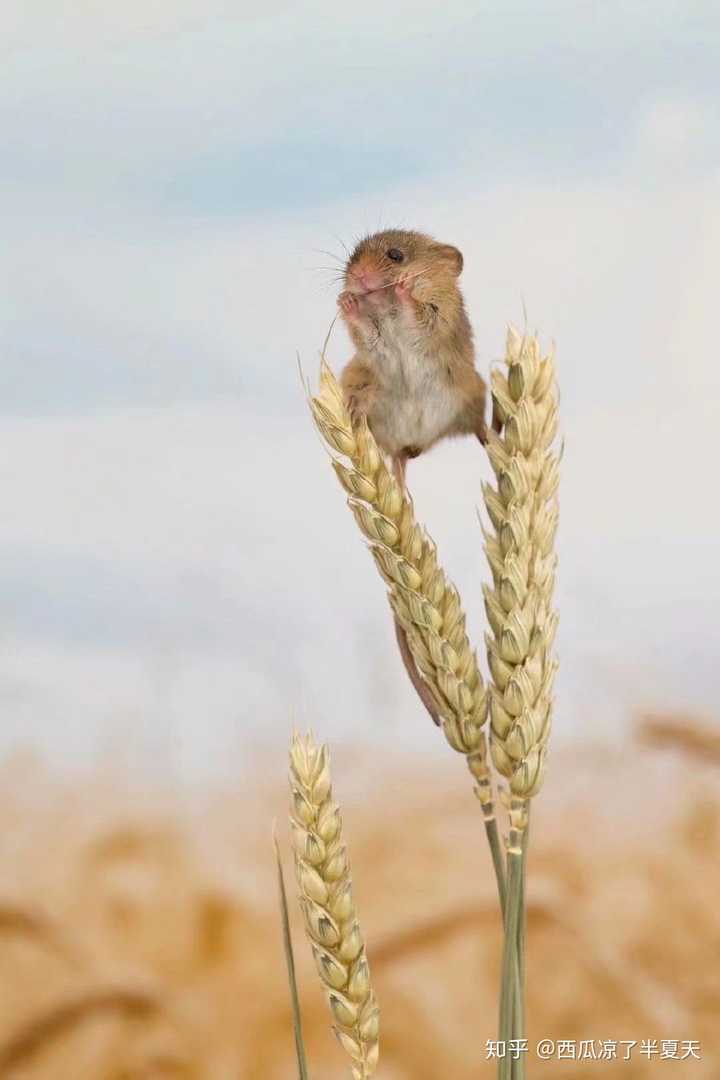 祝大家天天开心呀