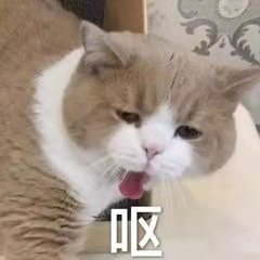 有哪些典型的学生思维?