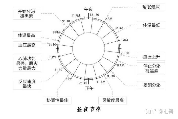 知乎