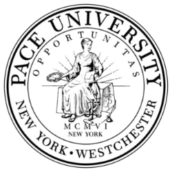 佩斯大学(pace university)