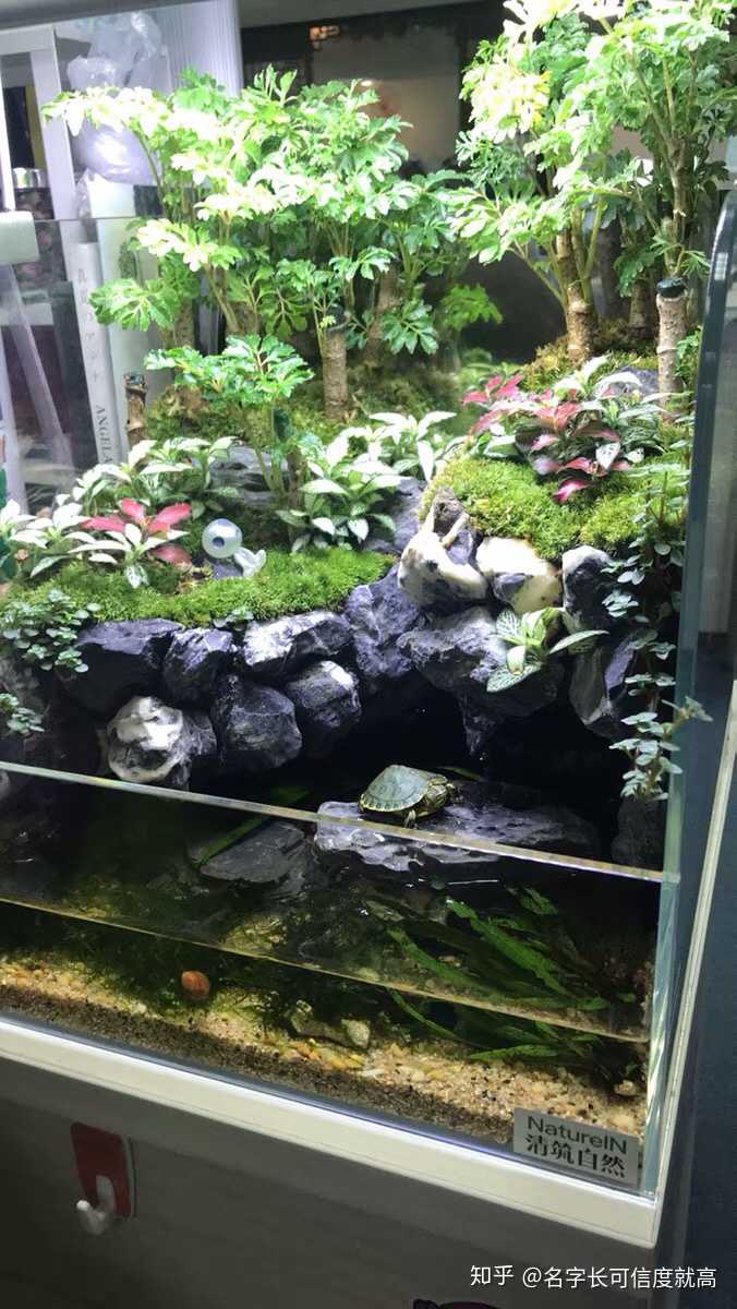 有没有方法可以构建一个有内部生态系统的鱼缸 知乎