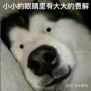 有没有让朋友圈人气暴涨的沙雕文案?