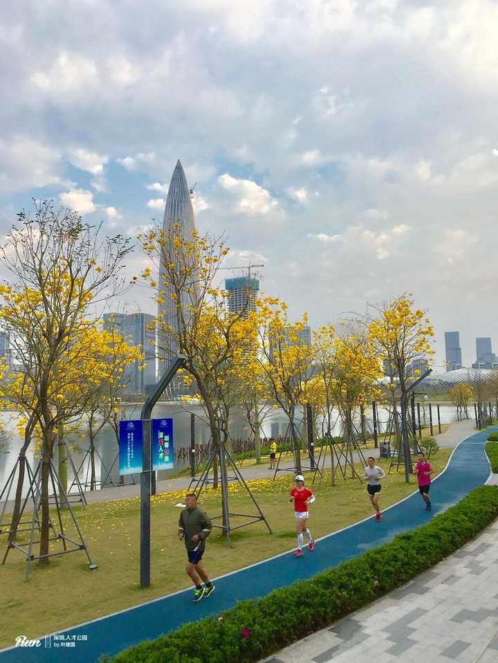 深圳湾跑道图片