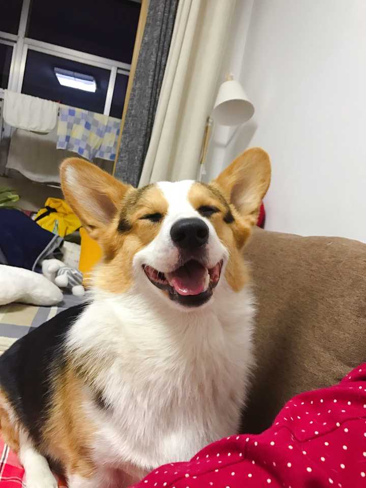 笑的像个200多斤的傻子