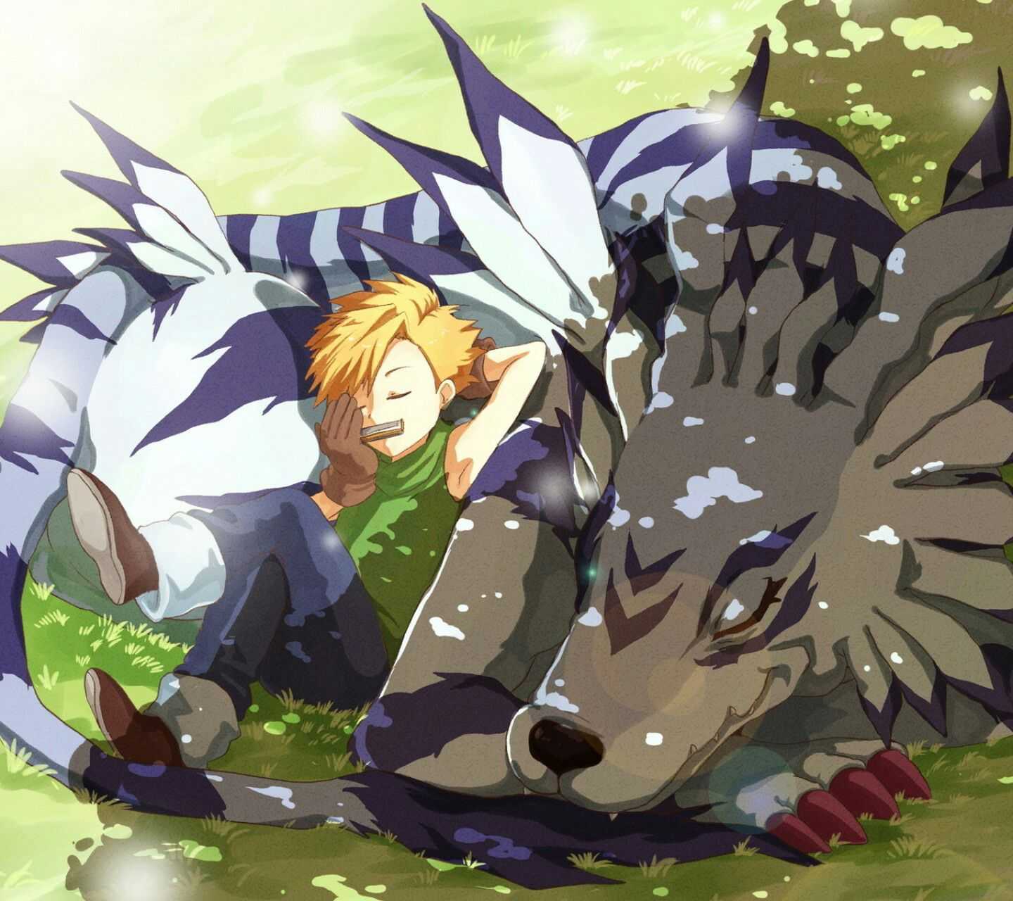 《数码宝贝》,特别不喜欢大和不喜欢他雪地里不管自己身体和加布兽