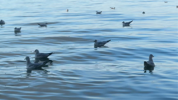 职场中，如何快速识别那些「面善心不善」的同事？