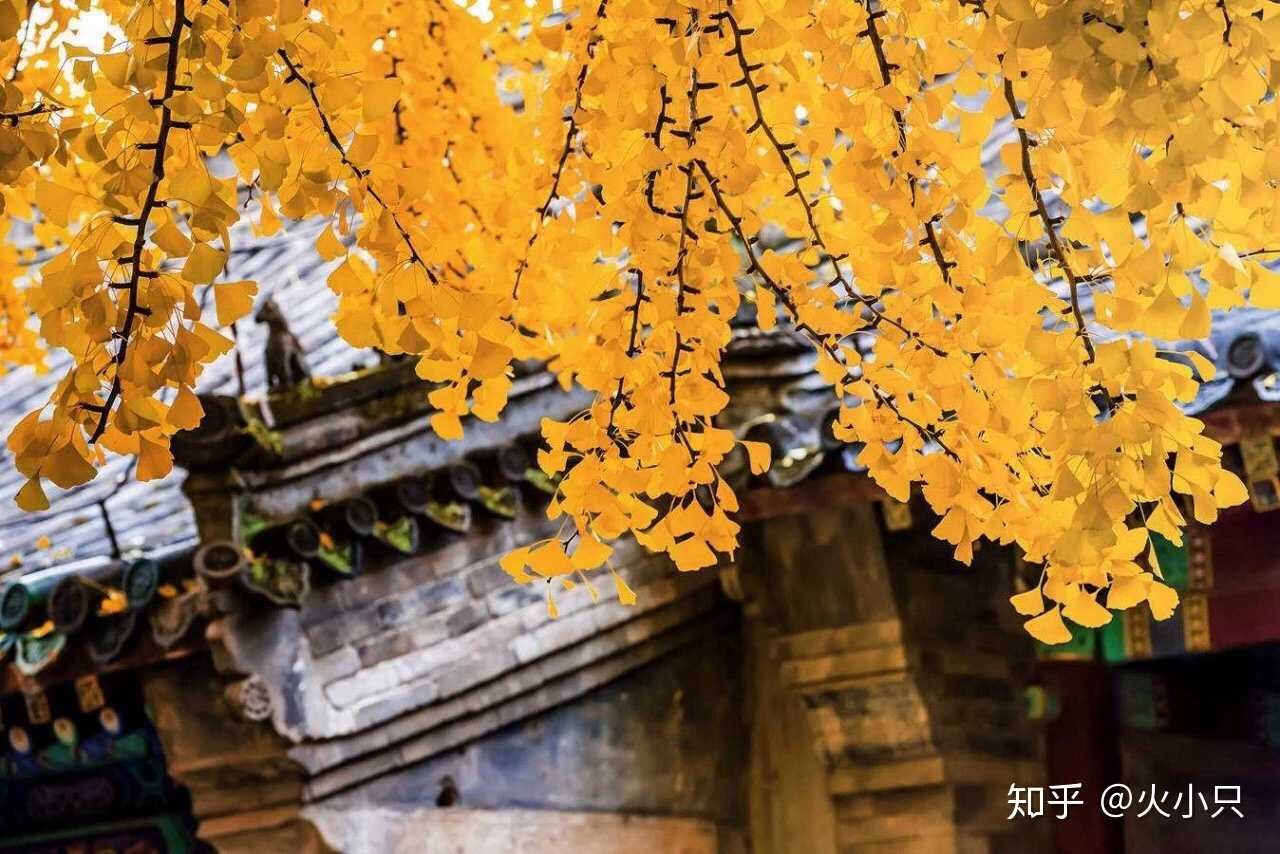 清风落叶 星河入梦 - 知乎