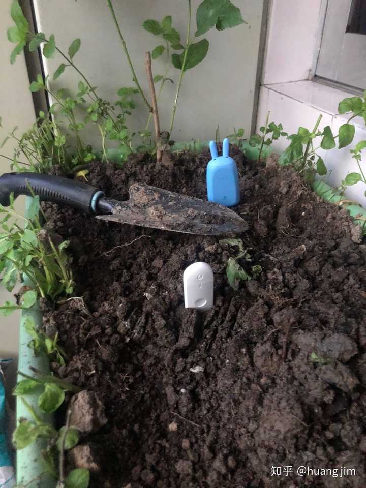 如何判断盆栽的土壤需要浇水了 知乎 如何判断盆栽的土壤需要浇水了 知乎