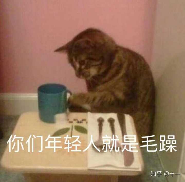 有哪些让“沙雕之魂”熊熊燃烧的朋友圈文案?