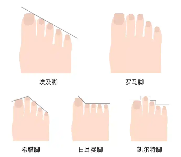 v2-792f6d1be47ad1260144bb0d59b72167_hd.jpg