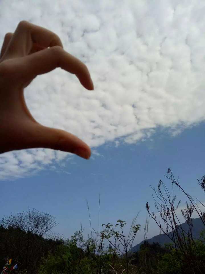 爬山喜歡拍藍藍的天空和風景 各種搞怪姿勢拍下記錄 心情真是超好的