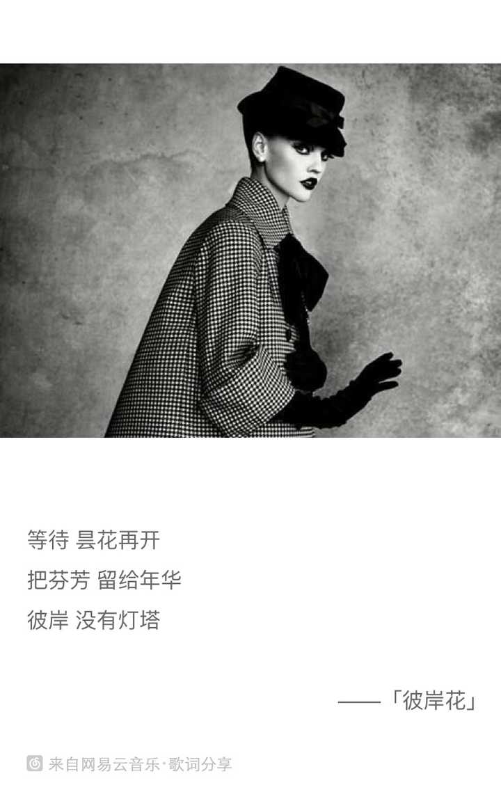 如何评价王菲的 彼岸花 知乎 如何评价王菲的 彼岸花 知乎