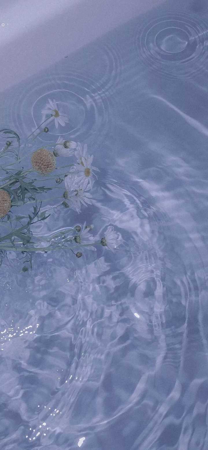 白色简约壁纸可爱 白背景简单动漫壁纸 白墙纸图片大全可爱 白色简约壁纸可爱 白背景简单动漫壁纸 白墙纸图片大全可爱