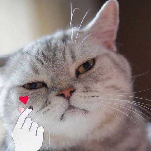 苹果手机应用商店更新不了软件?戳进来看这里