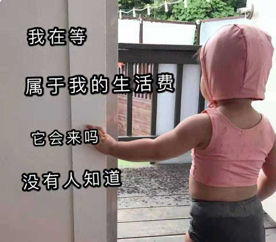 暗示爸妈生活费不够用的表情包