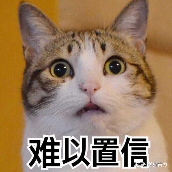 把猫的胡子剪了 会对猫有什么影响 知乎